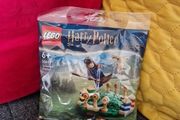 LEGO Harry Potter Quidditch Practice (30651)