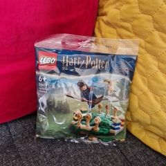LEGO Harry Potter Quidditch Practice (30651)