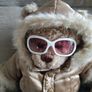 Lovely Build A Bear Groovy Winter Bear Georgeous Image 3