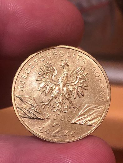 2 Zlote 2009 "Lacerta Viridis" Commemorative coin