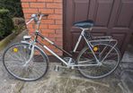 ladies bike