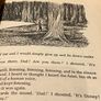 Vintage Roald Dahl's Danny The Champion of the World Image 8