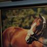 horse racing memorabilia Image 7