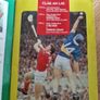 1991 Munster Hurling Final Programme  Cork v Tipperary Image 2