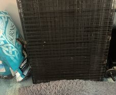 large dog crate suitable for golden retriever size dog