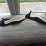 Black suede sling backs euro 38 Autograph, M & S Image 3