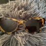 Miu miu cat eye sunglasses great condition purchased in arnotts Image 2