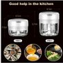 BRAND NEW 100/250ml Electric Chopper Kitchen Garlic Masher Meat Grinder Mini Food Vegetable Chili Crusher Rechargeable Image 2
