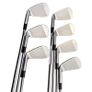 Taylormade P770 2024 Irons / 4-Pw / Dynamic Gold S300 Mid 115 Stiff Image 3