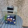 fish tank Image 2