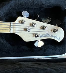 MusicMan Stingray 5 HS