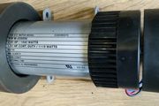 DC electric motor