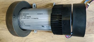 DC electric motor
