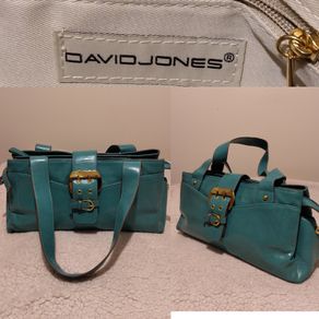 fabulous David Jones Handbag