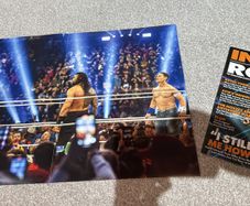 wrestling bundle