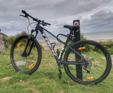 Trek Marlin 7 Bike