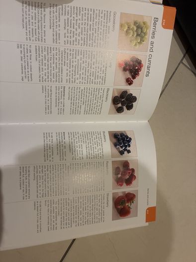 book food encyclopedia cooking