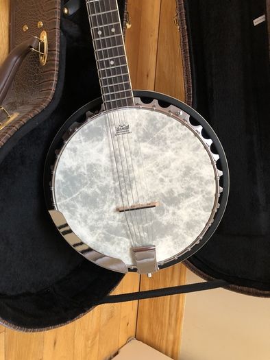Barnes and mullins 6 string banjo