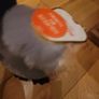 Arora Kissing Blushing Penguin Soft Plush Toy & Gift Bag Image 6