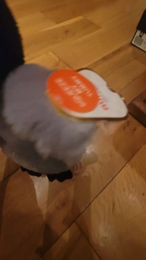 Arora Kissing Blushing Penguin Soft Plush Toy & Gift Bag