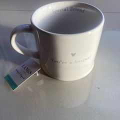 "Special Friend" Ceramic Mug Brand New with Tag