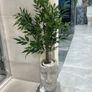 Artificial Plants Image 3