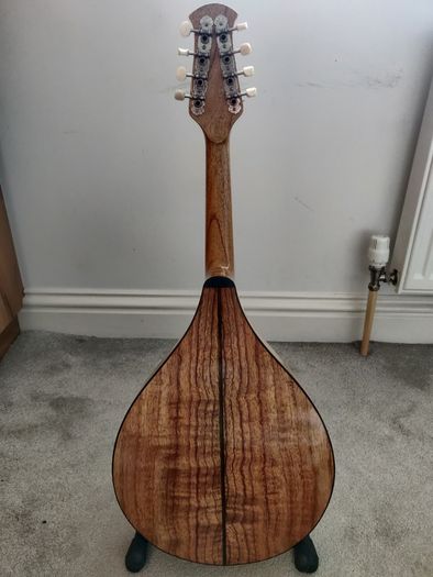 Octave Mandola and Gig Bag