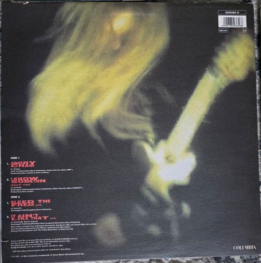 Vinyl Job lot - Alice in Chains, The Cure, SP, MSP, Muse, Kiss, Judas Priest