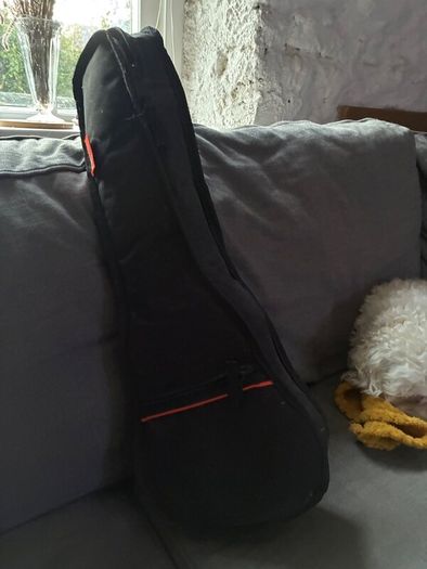 Ukulele with case