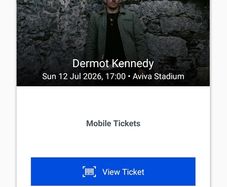 Dermot kennedy Aviva Sunday 12th July pitch standing