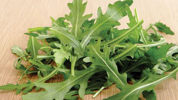 (R) Perennial Rocket Olivetta seeds 1g (220380)