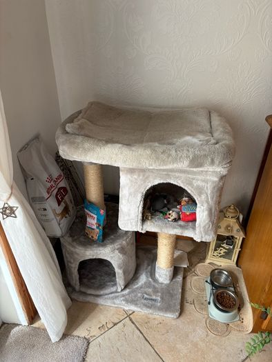 cat bed