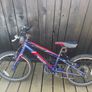 Wiggins bike Image 4
