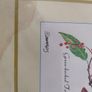Decorated Arts Framed Matted Wild Bird Print Signed Edwards Image 2
