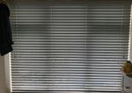 blinds grey