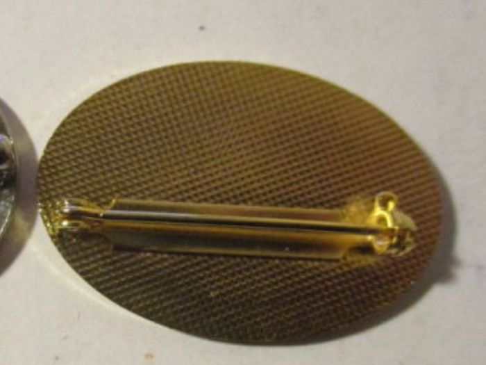 ICA Badge Pin