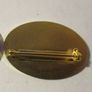 ICA Badge Pin Image 2