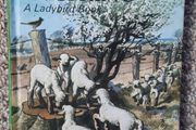 Vintage Ladybird 'What to Look for in Spring'