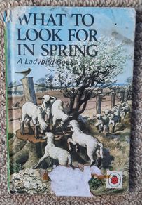 Vintage Ladybird 'What to Look for in Spring'