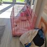 medium pink dog kennel Image 2