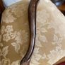 Antique French polished oak chair Image 5
