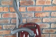 Miele c3 cat&amp;dog hoover