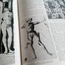 Enciclopedia Italiana Treccani (1st Ed. 1929) Image 3