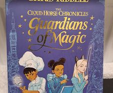 The Guardians of Magic book