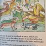 Esops Fables In William Caxtons Original  Illustrated  Edition. Edited By Bambe And Christian A Gascoine. Hardback With Dustjacket In Very Good Condition. Image 9