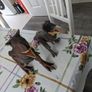 Dinosaur Toys Kids Image 5