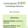 Essential Oil - Lemongrass 2ml Image 3