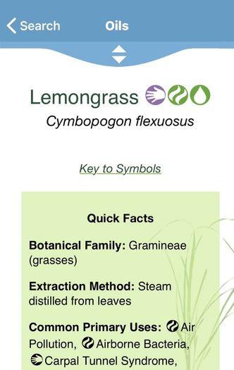 Essential Oil - Lemongrass 2ml