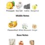 Loumari Porthole Image 3