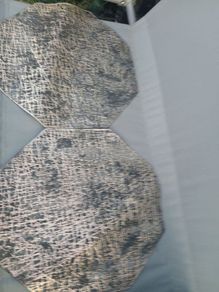 2 New Plastic place mats